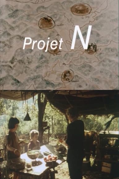 Projet N poster