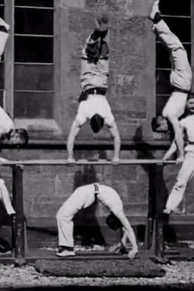 Gymnasts on Parallel Bars poster