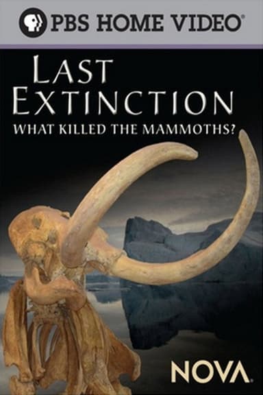 Last Extinction poster