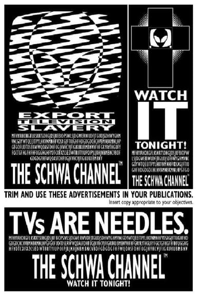 SCHWA: THE MOVIE poster