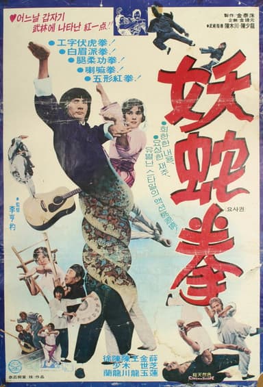 Lady Snake Fist poster