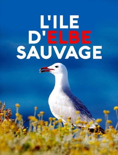 Wildes Elba poster
