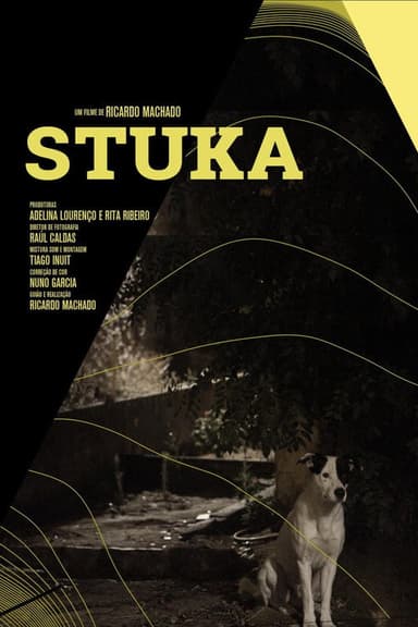 Stuka poster