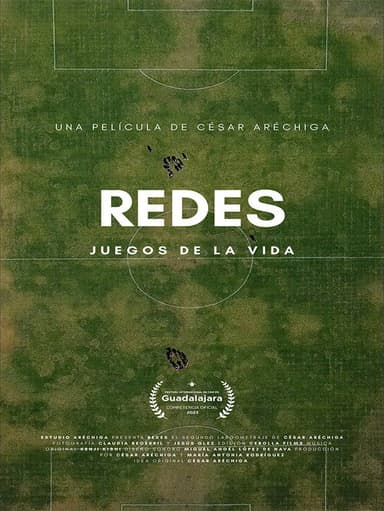 Nets: Games Of Life poster