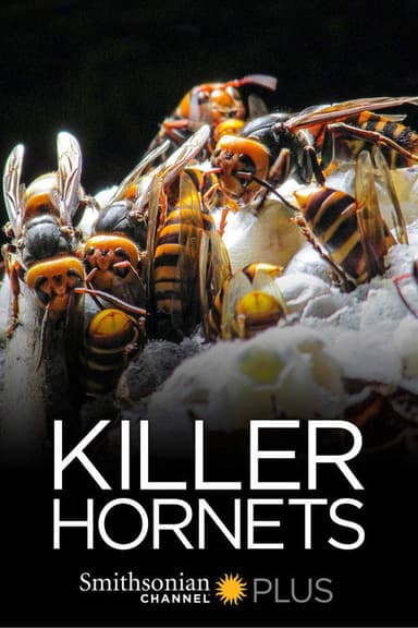 Killer Hornets poster