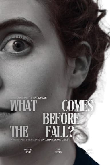 What Comes Before the Fall? poster