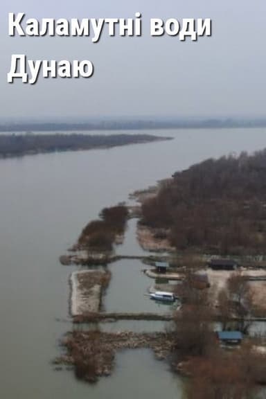 Muddy Waters of the Danube poster