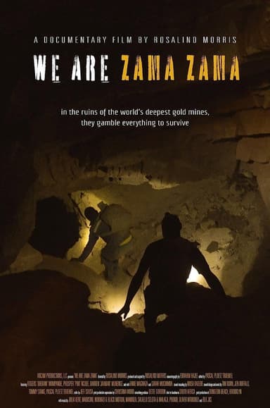 We Are Zama Zama poster
