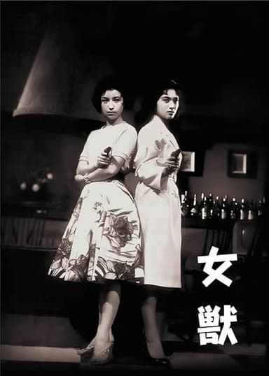 Female Detective poster