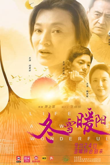 Life Is Always Wonderful poster