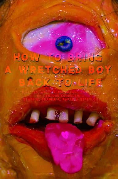 How to Bring a Wretched Boy Back to Life poster