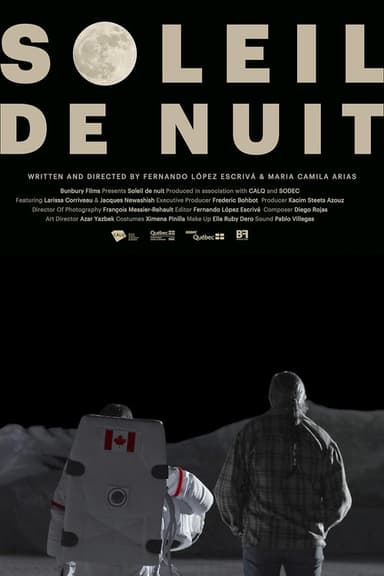 Night Sun poster