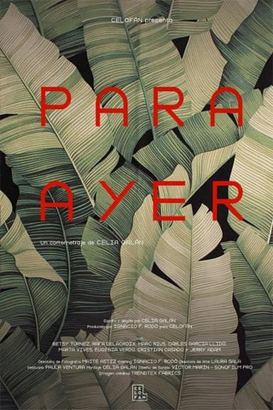 Para Ayer poster