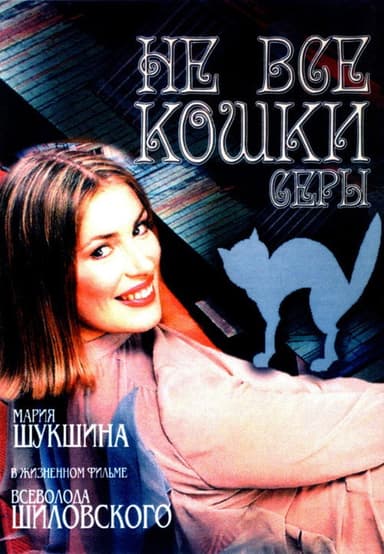 Not all the Cats are Gray poster