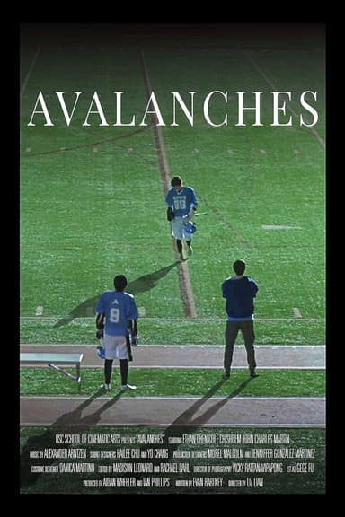 Avalanches poster