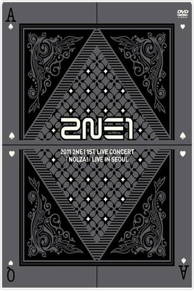 2NE1: 1st Live Concert NOLZA poster