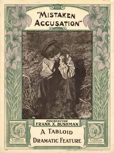 A Mistaken Accusation poster
