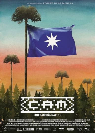 CAM: Liberated a nation poster
