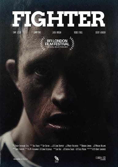 Fighter poster