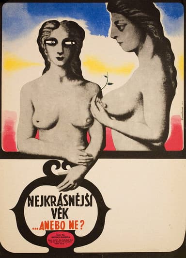 The Most Beautiful Age poster