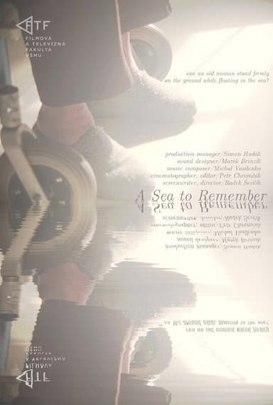 A Sea to Remember poster