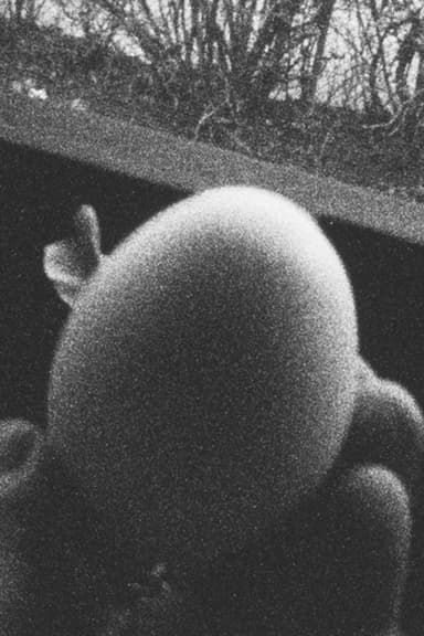 13 Eggs poster