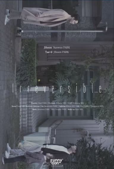 Irreversible poster