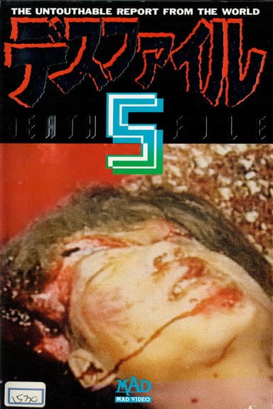 Death File 5 poster