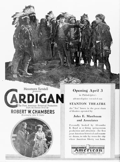 Cardigan poster