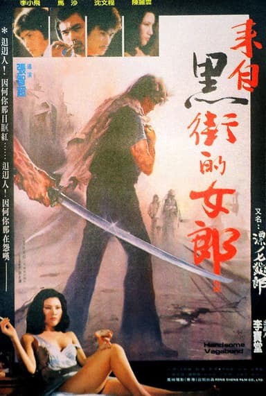 Handsome Vagabond poster