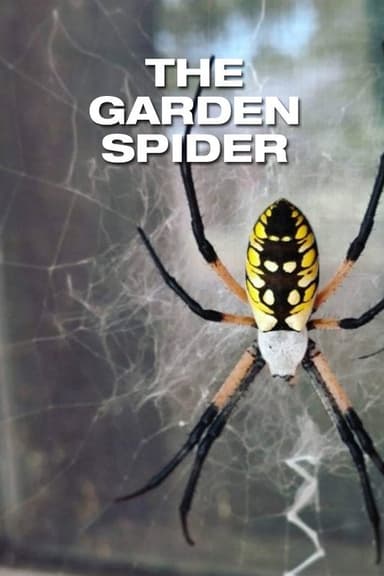 The Garden Spider poster