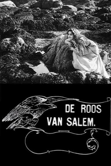 Rose o' Salem Town poster