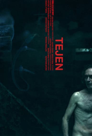 Tejen poster