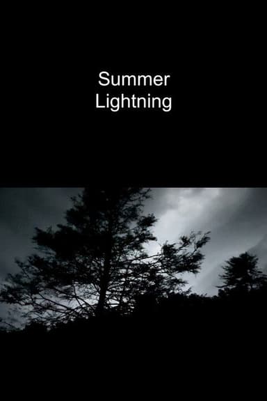 Summer Lightning poster