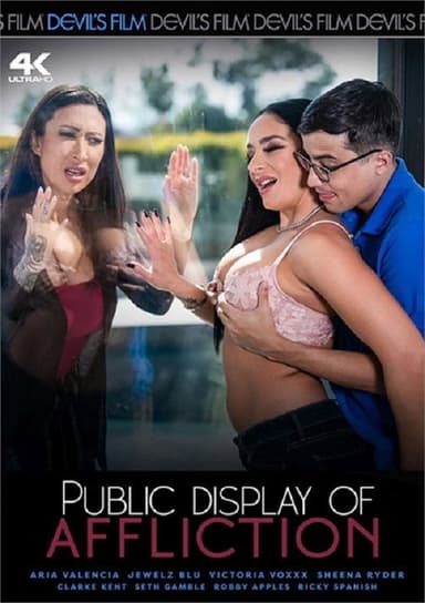 Public Display Of Affliction poster