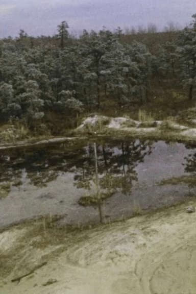 Pine Barrens poster