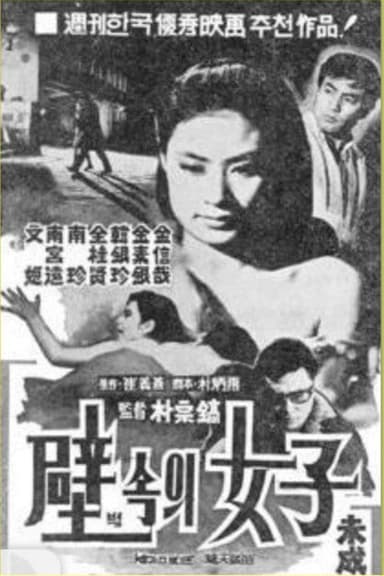 A Woman in the Wall poster
