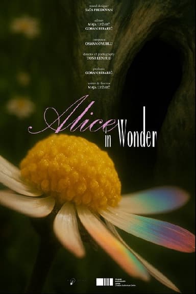 Alice in Wonder poster