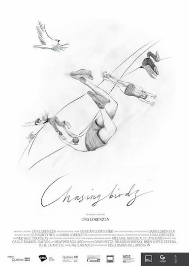 Chasing Birds poster