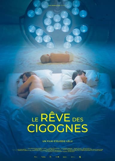 Dream of Storks poster