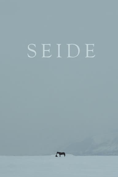 Seide poster