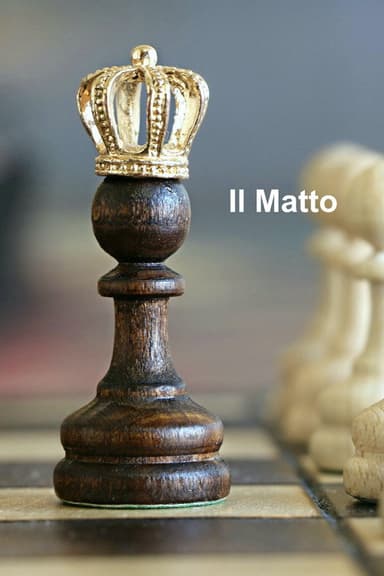 Il Matto poster