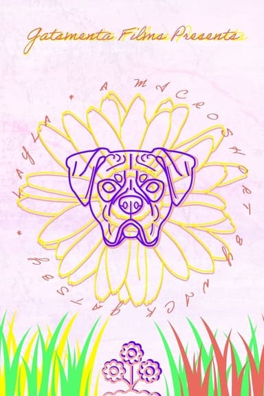 Layla poster