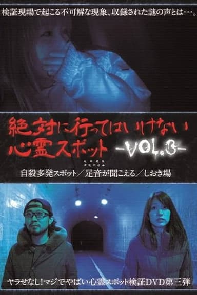 Absolutely Forbidden Haunted Spots Vol.3 poster