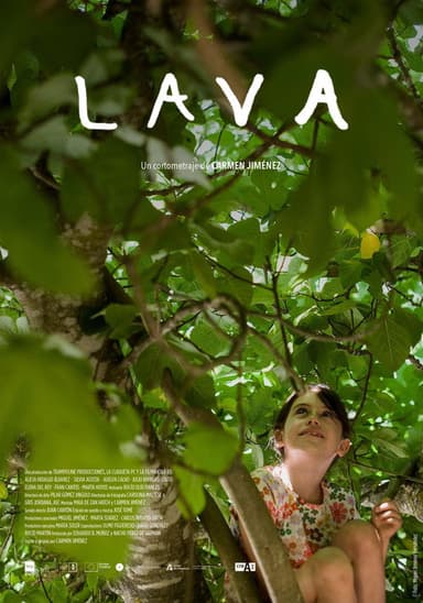 Lava poster