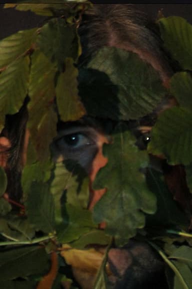 Green Man poster