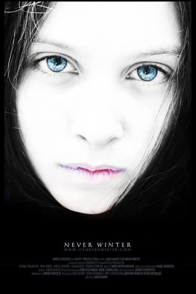 Never Winter poster
