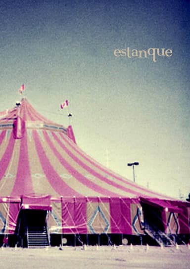 Estanque poster