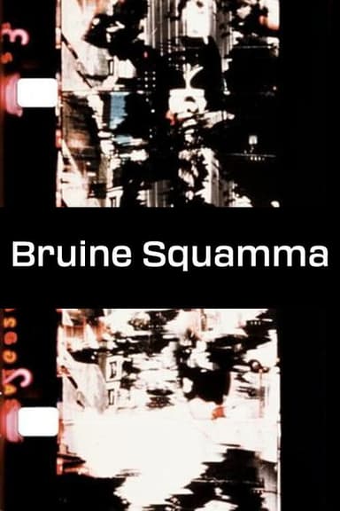Bruine Squamma poster