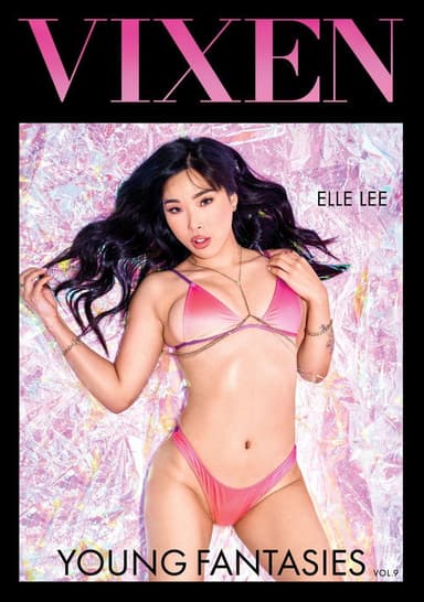 Young Fantasies 9 poster